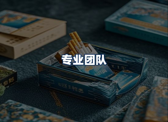 专业团队